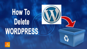 Read more about the article How To Delete WordPress
