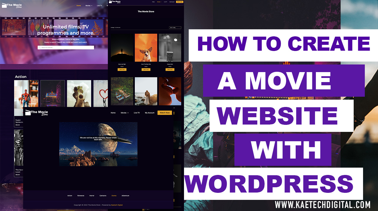 You are currently viewing How to create A Movie and Live TV Website Using WordPress