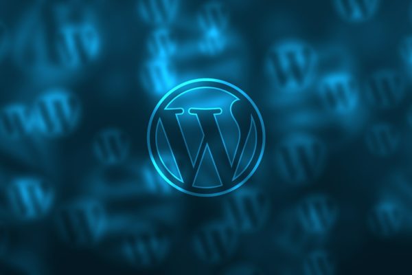 You are currently viewing 6 Simple Steps to Create a Website Using WordPress